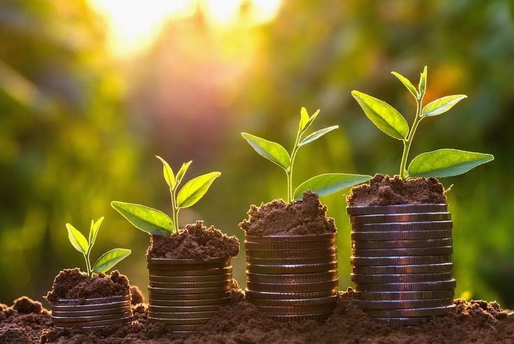 Financial Planning